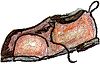 shoes-wt.gif